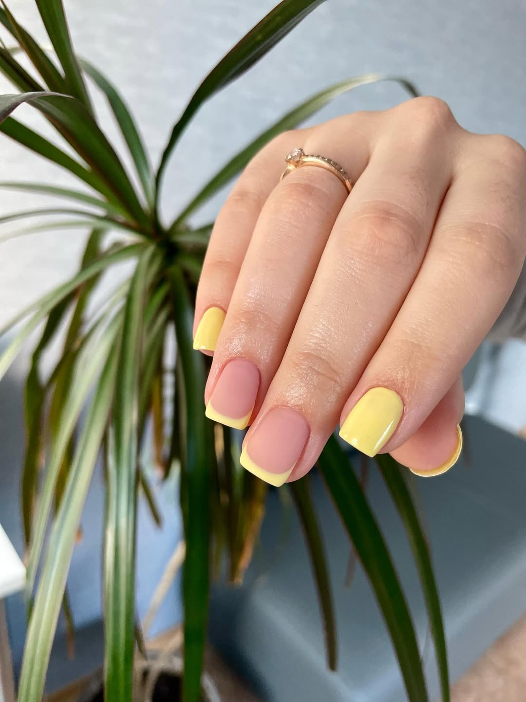 Matte Pale Yellow French Tips and Solid Nails