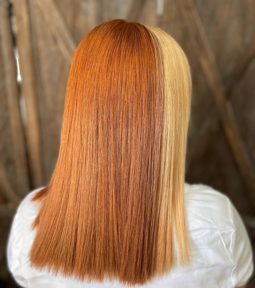 Bold Auburn And Honey Blonde Skunk Stripe Hair