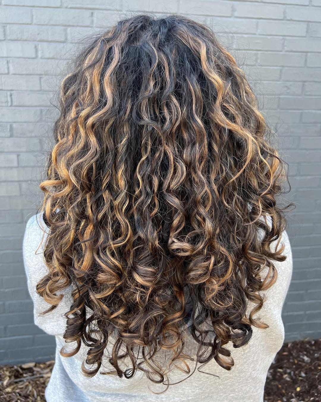 Caramel Highlights On Dark Curly Lengths