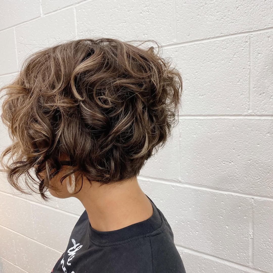 Curly Pixie Bob With Honey Highlights