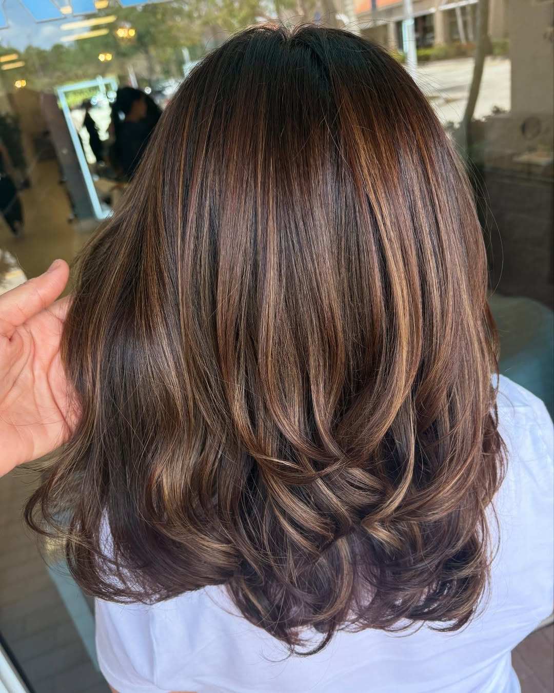 Gilded Caramel Highlights on Chocolate Brown Hair