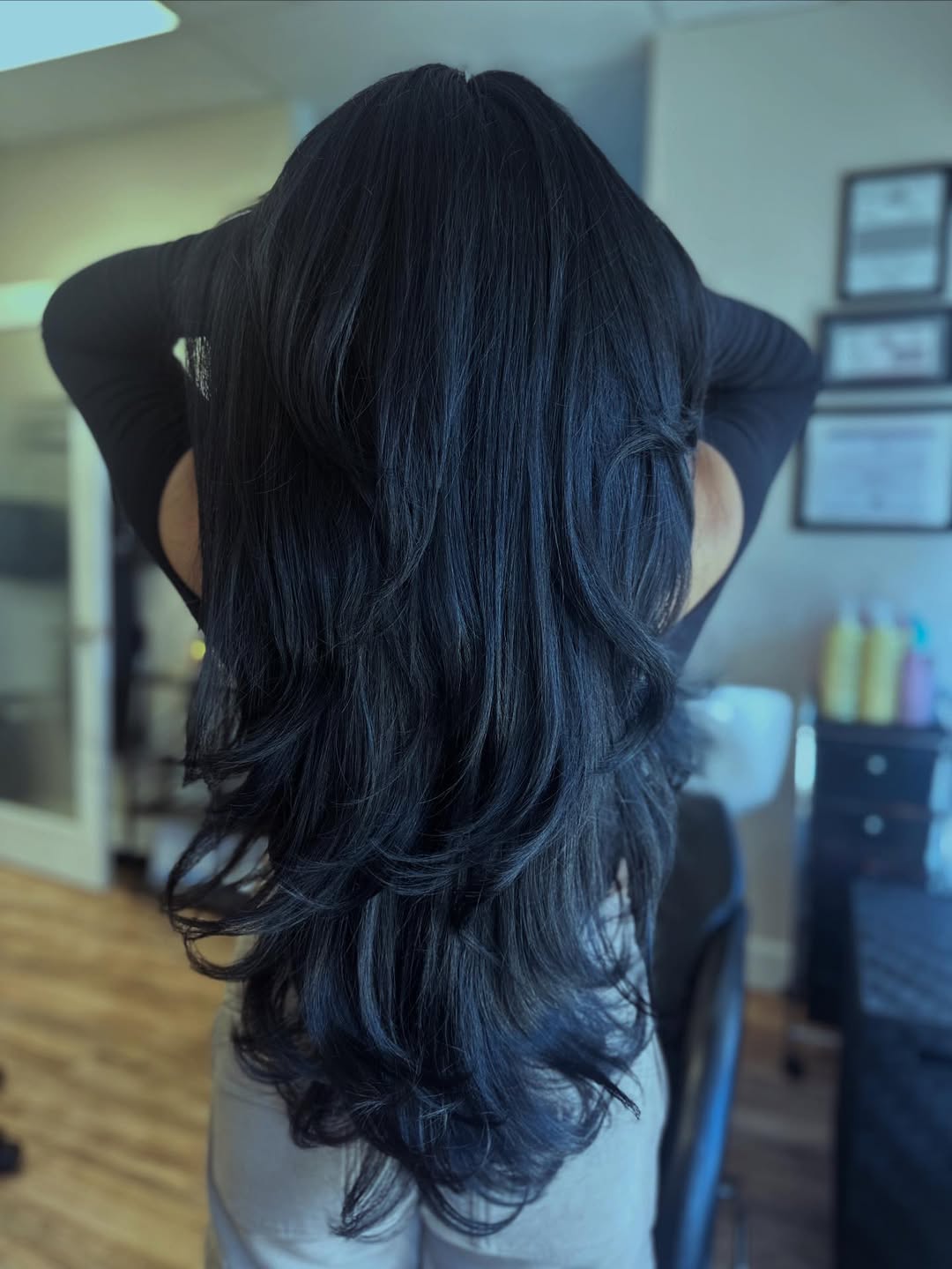 Gorgeous Jet Black Feathered Layers