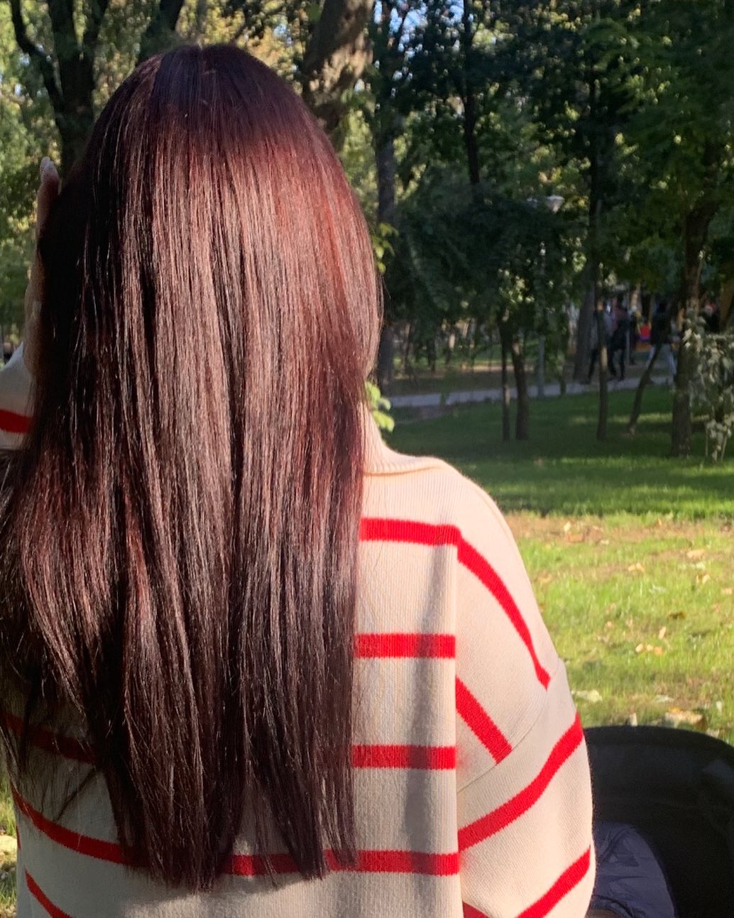 Rich Mahogany Brown Straight Hairstyle