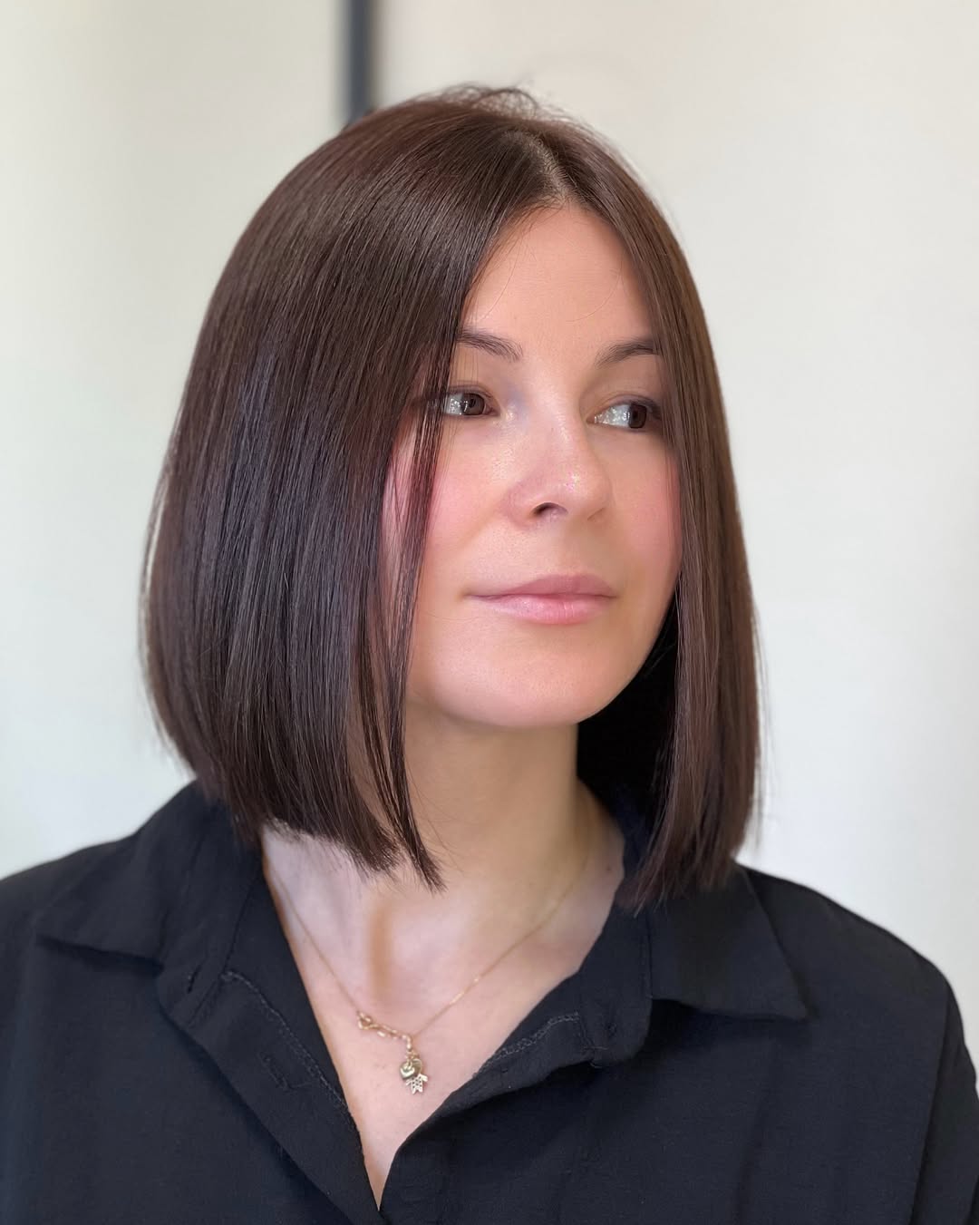 Sleek Dark Chocolate Blunt Bob With Middle Part