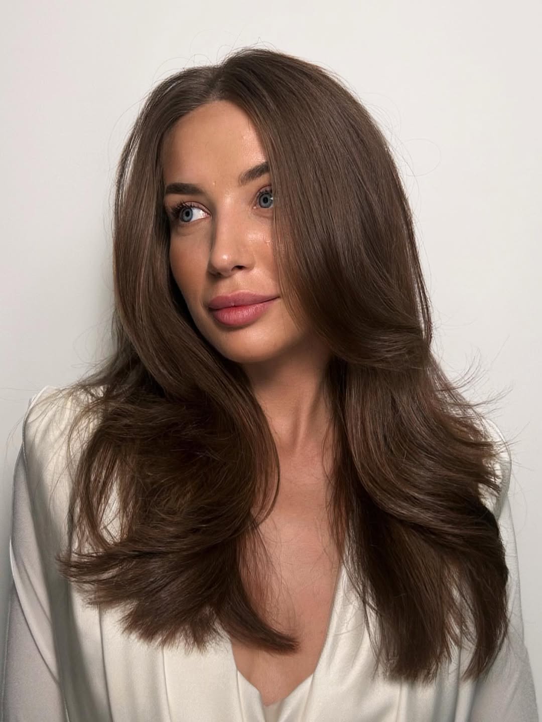Soft Layers Brunette Blowout With Face Framing