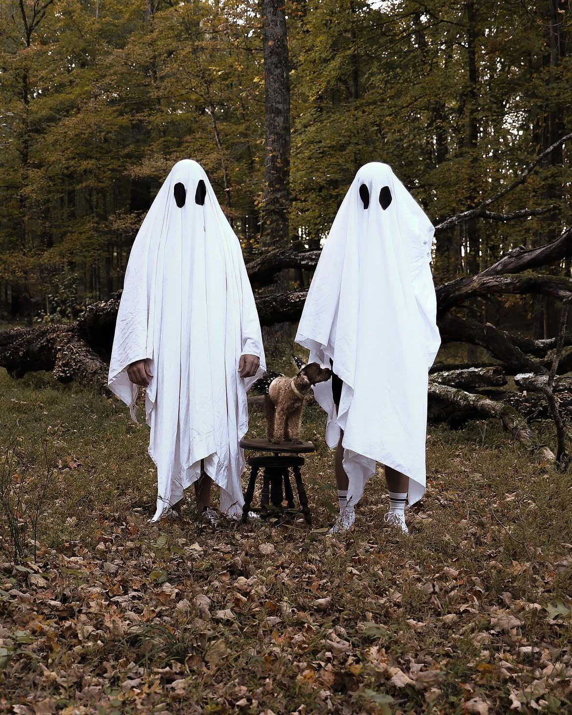 Classic Sheet Ghosts Couples Halloween Costume
