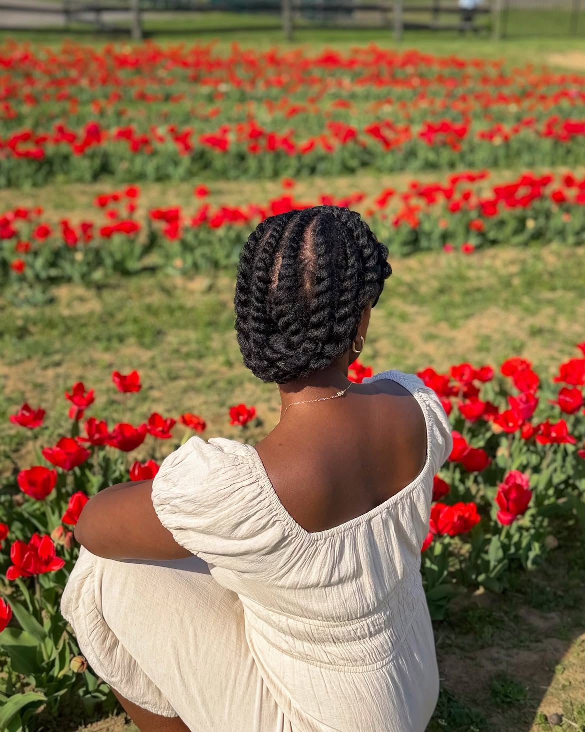 Elegant Cornrow Updo With Defined Parts