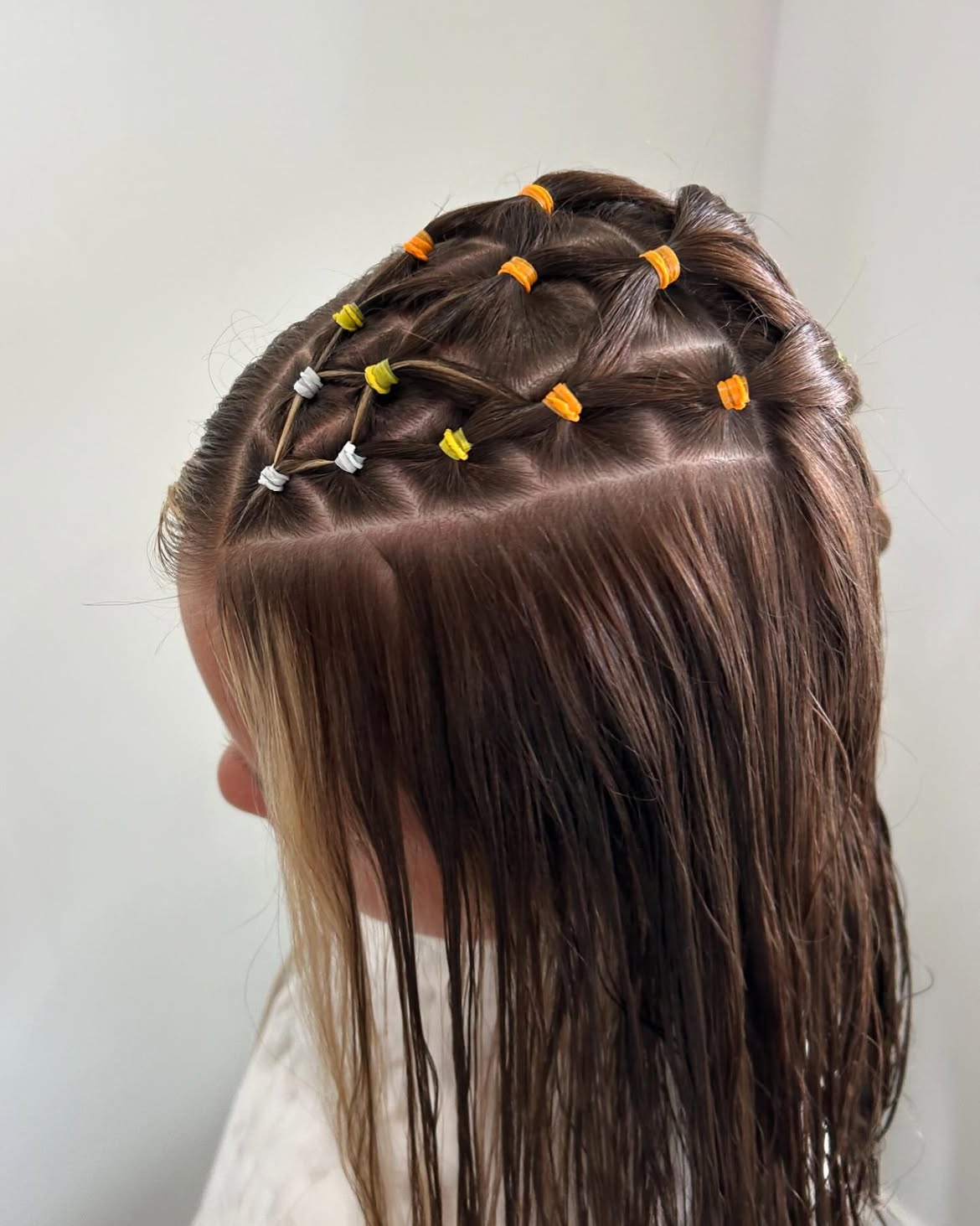 Geeky Grid Braided Pigtails With Bright Elastics
