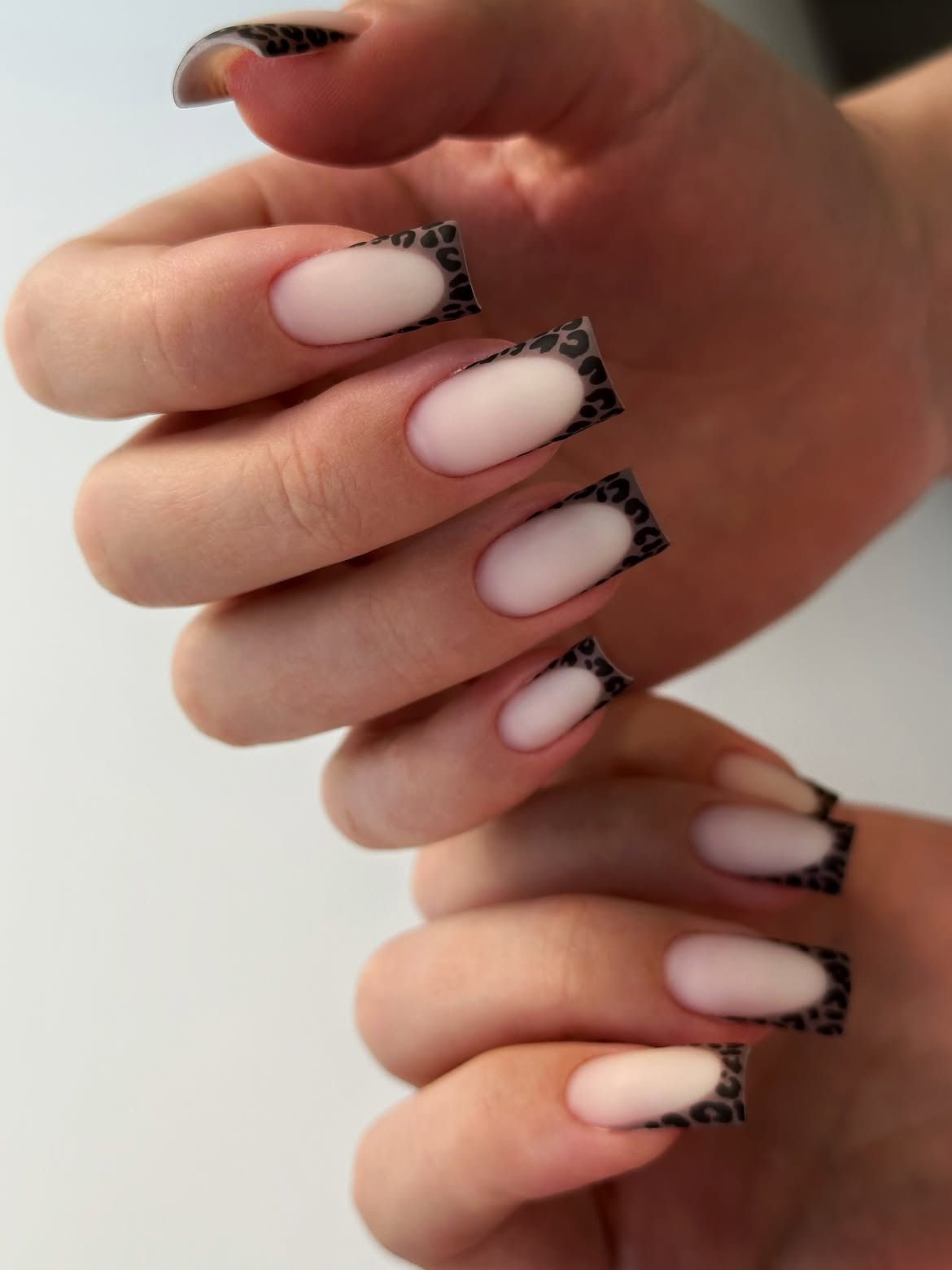 Matte Leopard French Tip Swirl Nails