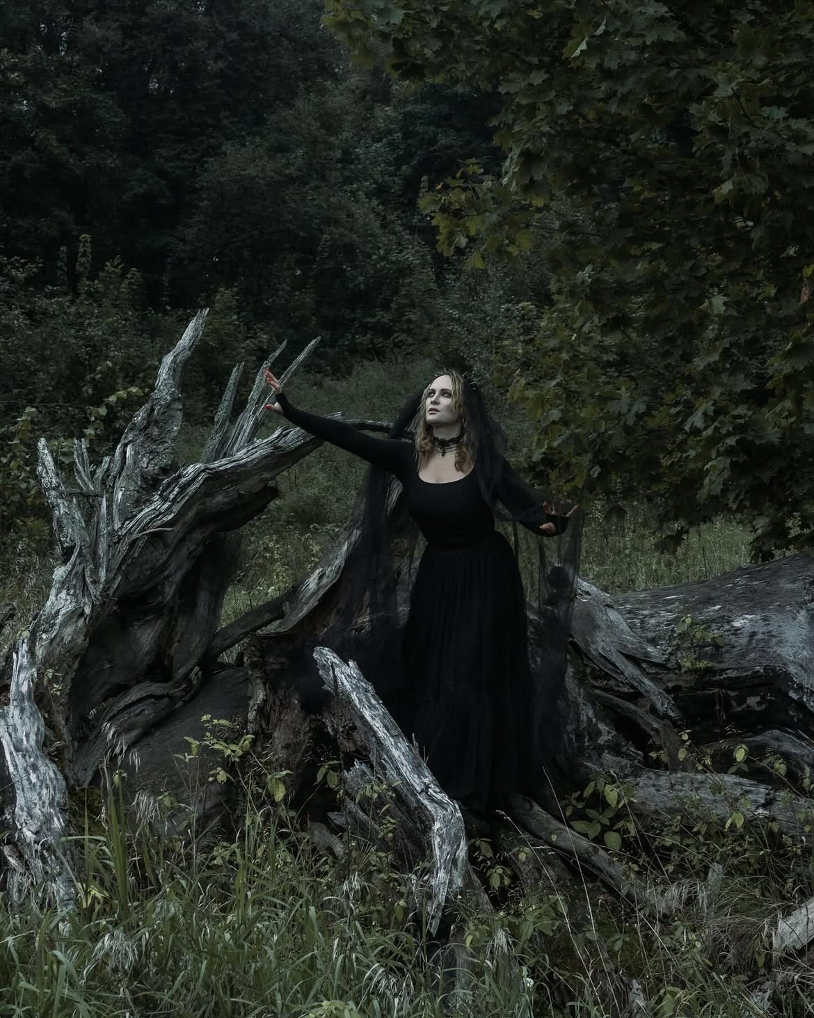 Mysterious Black Lace Dress With Flowing Veil