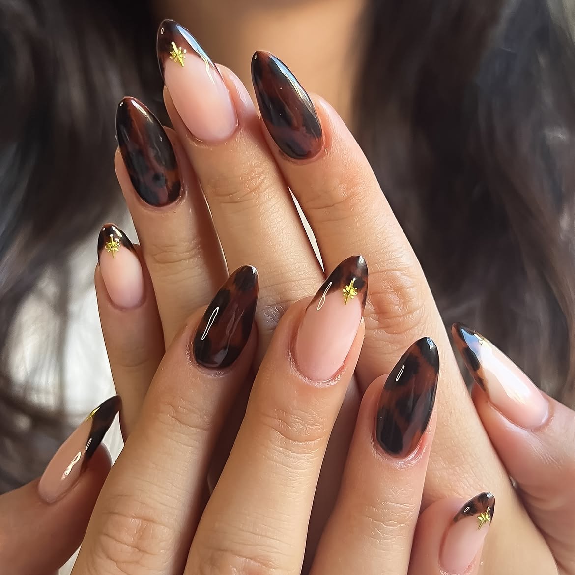Tortoiseshell French Tips With Gold Star Accents